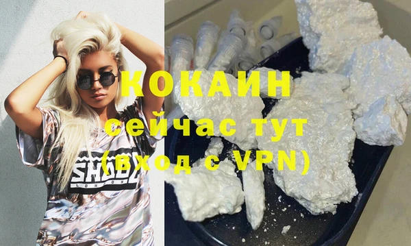 индика Армянск