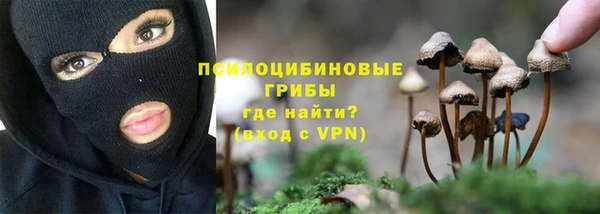 индика Армянск