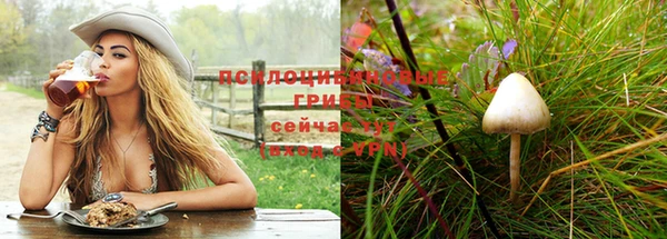 спайс Арсеньев