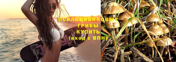 индика Армянск