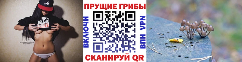кракен ссылки  Нарткала  Псилоцибиновые грибы мухоморы 