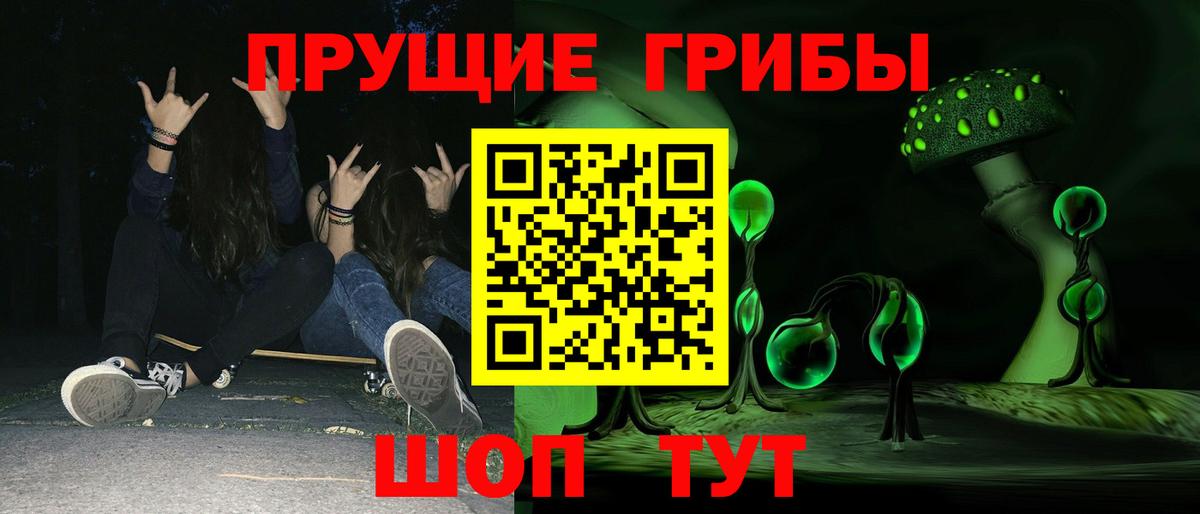 Нарткала  Галлюциногенные грибы Cubensis  Вход с VPN 